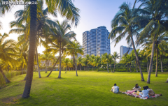 持久投资：依托博鳌亚洲论坛及乐城先行区成长